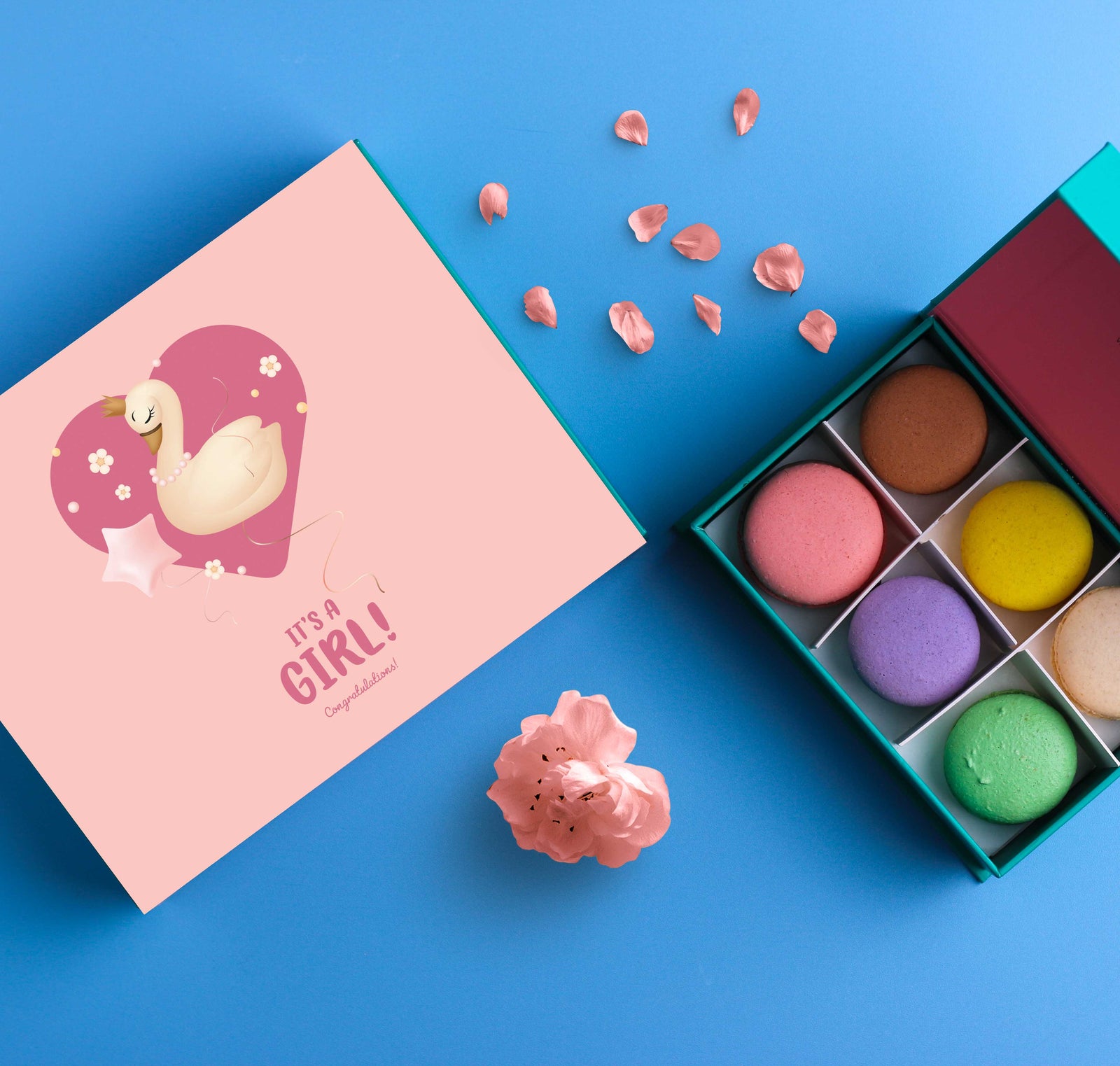 It's a girl makroner